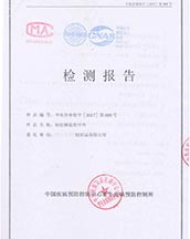 檢測報告